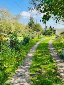 Vonkajšia záhrada v ubytovaní Cozy Corfu Bungalow 5 minutes to Aqualand