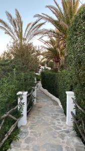 a garden with palm trees and a walkway at Luxury oceanfront villa in an idyllic location no1 in Cala'n Bosch