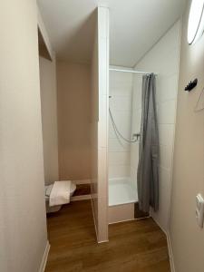 Koupelna v ubytování CROWN LIVING Villa Blumenau Studios, SmartTV, Parkplatz + 37 fotografií