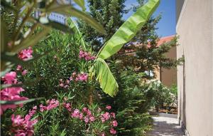 a bunch of plants and flowers in a garden at Nice Apartment In Malinska in Malinska +26 photos