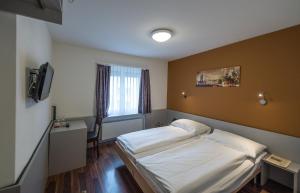 TV a/nebo společenská místnost v ubytování Alexander Guesthouse Zurich Old Town