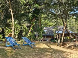 two blue chairs sitting in the grass in front of a house at Tommys garden in Ranong