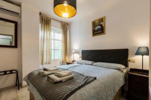Postel nebo postele na pokoji v ubytování Apartamentos Ruta de la Sierra