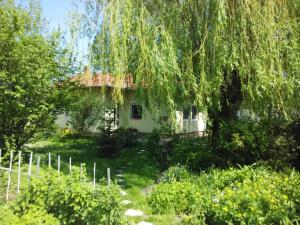 Bloomyapartment 8646 Balatonfenyves, Úttörő utca 207 207 kép - 2