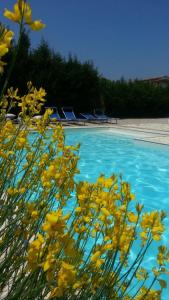 Swimmingpoolen hos eller tæt på Casa Cerqua Landi - Case Vacanza
