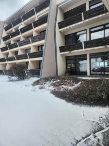 an apartment building with snow in front of it at Ferienwohnung Phin in Sankt Englmar, mit Pool, activCard und Smart TV in Sankt Englmar