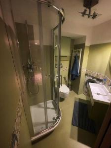 a bathroom with a shower and a toilet and a sink at Testaccio Stay - your home in the heart of Rome in Rome