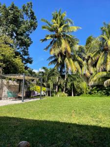 ein Park mit Palmen und einem Pavillon in der Unterkunft CoCo Cozy Apartment Centric and Private in Cozumel