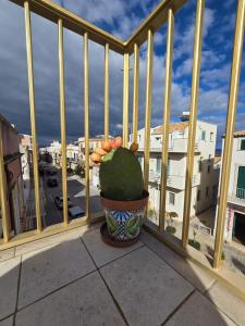 een cactus op een balkon met uitzicht op de stad bij Regina Elena Apartment in Marzamemi