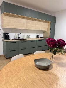 A kitchen or kitchenette at Villa Erdődy Resort