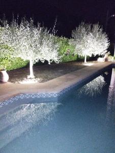 a row of trees next to a pool at night at Au vallon rouge (Suite double) in Saint-Paul-de-Vence