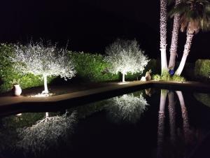 a group of trees with their reflections in the water at night at Au vallon rouge (Suite double) in Saint-Paul-de-Vence