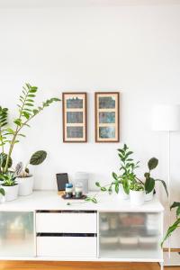a white desk with potted plants on it at Private room with views to the mountains in Reykjavík