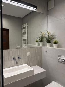 un bagno con lavandino e specchio di Apartament Nadmorski Dwór a Danzica Altre 9 foto