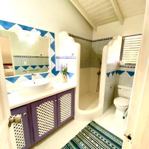 a bathroom with a sink and a toilet and a mirror at Casa Del Sol in El Limón +17 photos