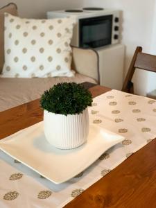 uma planta verde numa tigela branca numa mesa em Laki's House em Mavrovo