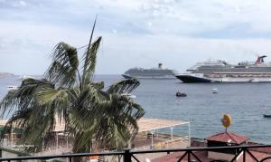 卡波圣卢卡斯Medano Beach suites的两艘棕榈树在水中的游轮