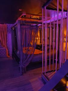 a bedroom with a canopy bed with purple lighting at Appartement LOVE ROOM LUXE in Bavay