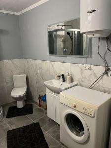 a bathroom with a washing machine and a sink at Незабутні Карпати in Vorokhta +18 photos