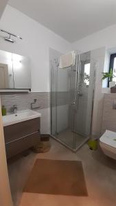 a bathroom with a shower and a sink and a toilet at Lake & Mountain View Ceahlau in Ceahlău +39 photos