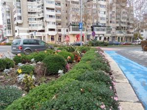コンスタンツァにあるCameră individuală în apartament comun langa plaja, centrul Constantaの花々の庭園のある通り