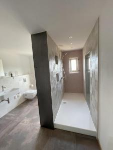 a bathroom with a shower and a toilet and a sink at LandQuartier - La Primera in Dürrröhrsdorf +11 photos