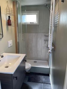 a bathroom with a sink and a toilet and a shower at In Daaldersk Plakje in Deinum