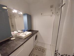 a bathroom with a sink and a mirror and a washing machine at Le Flow d'Issoire - Charmant appartement avec terrasse in Issoire +3 photos