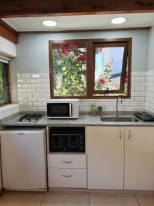 a kitchen with a sink and a microwave at La Tante in San Carlos de Bariloche