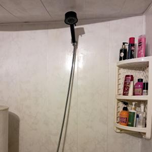 Koupelna v ubytování Elos Guesthouse