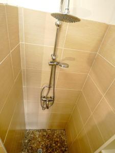 a shower with a shower head in a bathroom at Appartement vue mer situé aux Trois-Ilets, Martinique in Les Trois-Îlets