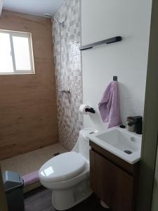 a bathroom with a toilet and a sink and a window at Puerta Archipiélago in Ancud +16 photos