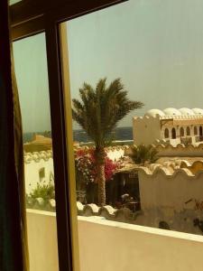 desde una ventana de un edificio con una palmera en Luna House Lighthouse 1, en Dahab