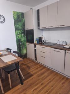 Η κουζίνα ή μικρή κουζίνα στο Apartamenty przy Armii Krajowej II