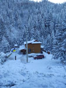 a house with a car parked in the snow at Садиба На скелі in Krivorovnya