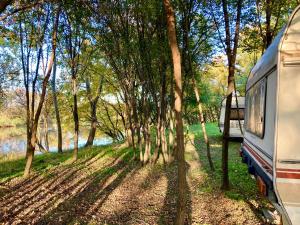 a rv parked next to a forest of trees at Hacienda Caravan in Szentes