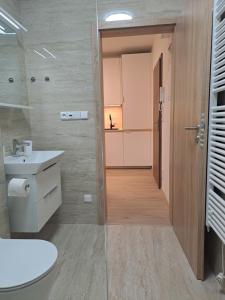 Koupelna v ubytování Apartmán Pohoda 18 + 22 fotografií
