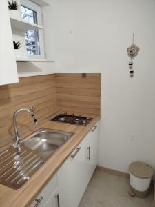 Kuchyň nebo kuchyňský kout v ubytování Apartmani - sobe Ćosić + 29 fotografií