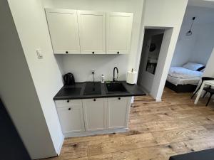 Кухня или мини-кухня в Dream Apartaments Katowice
 +8 фотографий