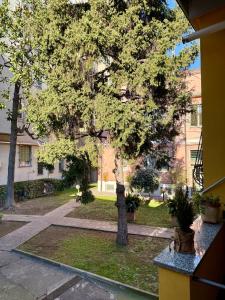 a tree in the courtyard of a building at Gionas - Casa indipendente in zona strategica in Milan +14 photos