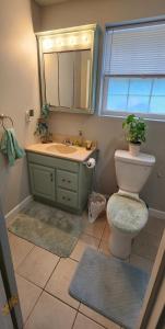a bathroom with a toilet and a sink and a mirror at Quiet Retreat for Business or Family Trip in Charlotte +14 photos