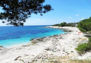 Fotografie z fotogalerie ubytování Apartments Oasis v destinaci Veli Rat + 15 fotografií