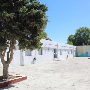 een boom voor een wit gebouw bij Atalaya in Puerto Madryn