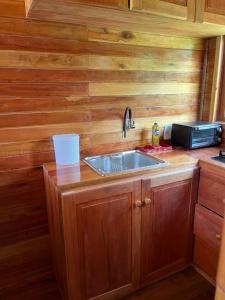 a kitchen with a sink and a microwave at Pousada e fazenda mato verde in São Bonifácio +10 photos
