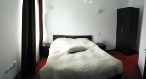 Cama ou camas em um quarto em Pensiunea Zina