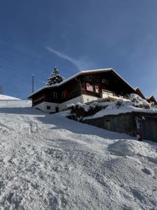 Studio Chalet Sunnehöckli v zimě + 1 fotografie