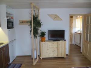 eine Küche mit einem TV auf einem Holzschrank in der Unterkunft Studio Lipa in Maribor