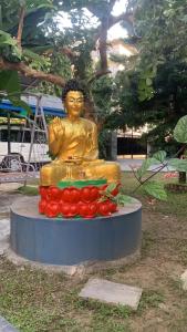 Taman di luar New Annapurna Guest House