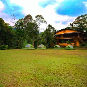 Κήπος έξω από το Sinharaja Eco Lodge