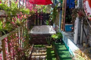 Gallery image of Hostal Café Axi in Almirante +37 photos